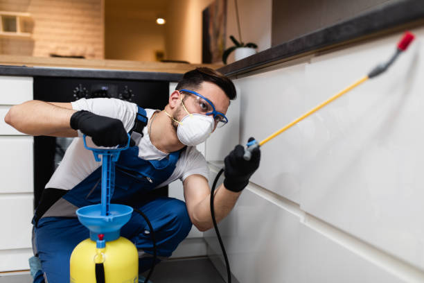 Best Bed Bug Extermination  in Red Bay, AL