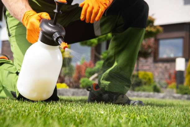 Best Emergency Pest Control  in Red Bay, AL