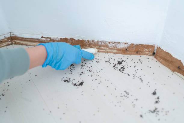 Best Best Pest Control Companies  in Red Bay, AL