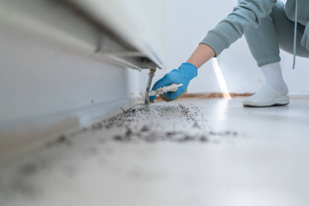 Best Flea Control Services  in Red Bay, AL