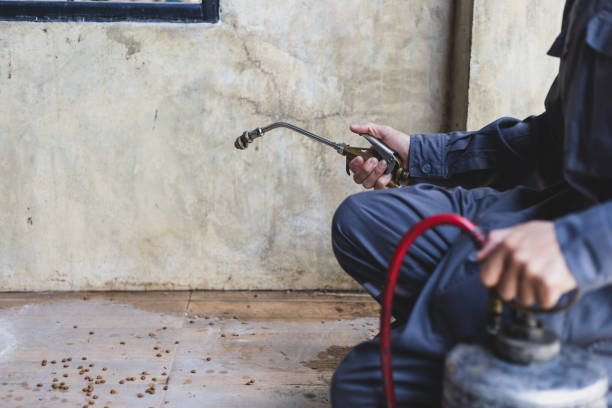Best Affordable Pest Control Services  in Red Bay, AL