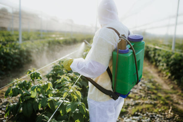 Best Best Pest Control Companies  in Red Bay, AL